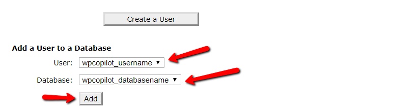 give user access to database