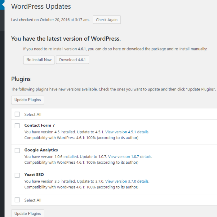 How often should I update WordPress, plugins and themes?