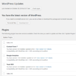 How often should I update WordPress, plugins and themes?