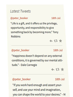 WordPress Twitter Feed