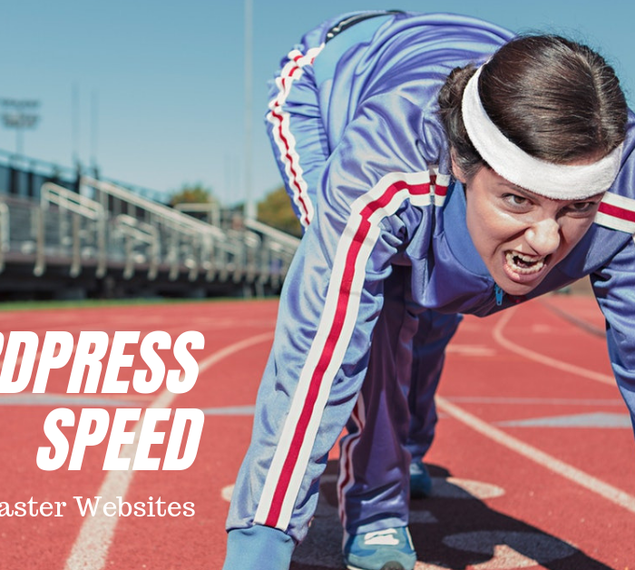 WordPress Slow? How To Speed Up WordPress Websites